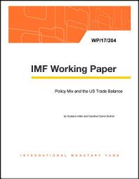 Icon image Policy Mix and the US Trade Balance