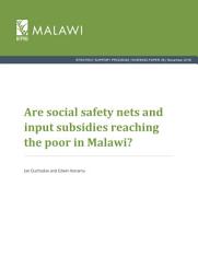Icon image Are social safety nets and input subsidies reaching the poor in Malawi?