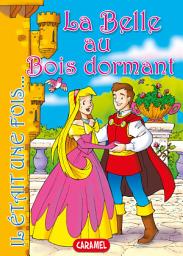 Icon image La Belle au Bois dormant: Conte et Histoires pour enfants