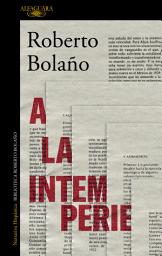 Icon image A la intemperie: Colaboraciones periodísticas, intervenciones públicas y ensayos