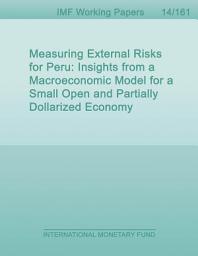 Icon image Measuring External Risks for Peru: Insights from a Macroeconomic Model for a Small Open and Partially Dollarized Economy