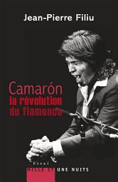 Icon image Camarón, la révolution du flamenco