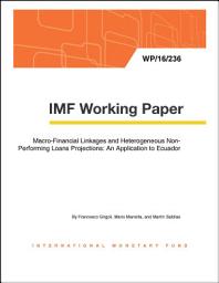 Icon image Macro-Financial Linkages and Heterogeneous Non-Performing Loans Projections: An Application to Ecuador
