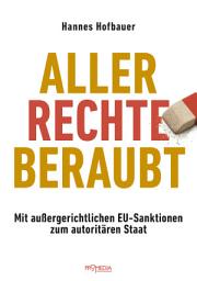 Icon image Aller Rechte beraubt: Mit außergerichtlichen EU-Sanktionen zum autoritären Staat