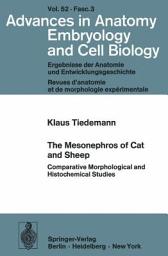 Icon image The Mesonephros of Cat and Sheep: Comparative Morphological and Histochemical Studies