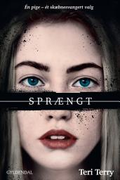 Icon image Slettet 0 - Sprængt