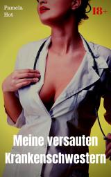 Icon image Meine versauten Krankenschwestern: Heiße Sexgeschichte, Ausgabe 2