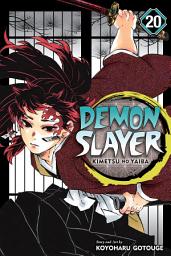 Icon image Demon Slayer: Kimetsu no Yaiba, Vol. 20
