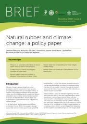 Icon image Natural rubber and climate change: a policy paper
