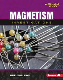 Icon image Magnetism Investigations