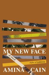 Icon image My New Face: A Novel