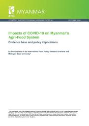 Icon image Impacts of COVID-19 on Myanmar’s agri-food system: Evidence base and policy implications
