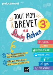 Icon image Tout mon brevet 2027 en studyfiches - 3e (toutes les matières): fiches visuelles & quiz pour réviser son brevet facilement