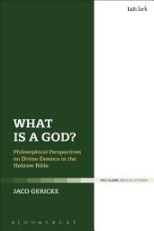 Icon image What is a God?: Philosophical Perspectives on Divine Essence in the Hebrew Bible