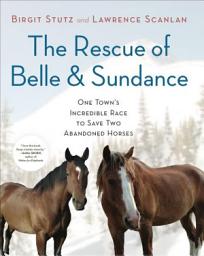 Icon image The Rescue of Belle and Sundance: One Town's Incredible Race to Save Two Abandoned Horses