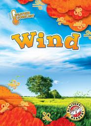Icon image Wind