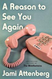Icon image A Reason to See You Again: A Novel