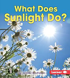Icon image What Does Sunlight Do?
