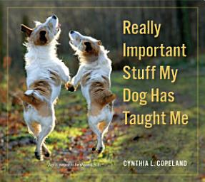 Icon image Really Important Stuff My Dog Has Taught Me