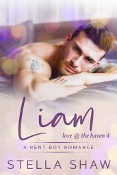 Icon image Liam, Love at the Haven 4