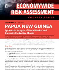 Icon image Papua New Guinea: Systematic analysis of world market and domestic production shocks
