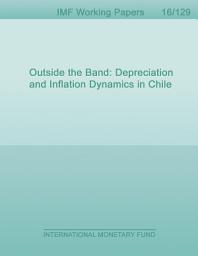 Icon image Outside the Band: Depreciation and Inflation Dynamics in Chile