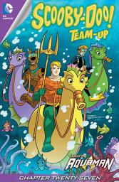 Icon image Scooby-Doo Team-Up (2013)