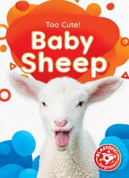 Icon image Baby Sheep