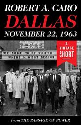 Icon image Dallas, November 22, 1963