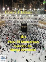Icon image Cos'è l'islam
