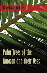 Icon image Palm Trees of the Amazon and their Uses