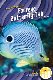 Icon image Foureye Butterflyfish
