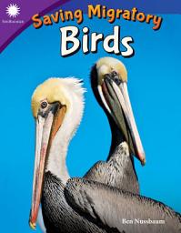 Icon image Saving Migratory Birds
