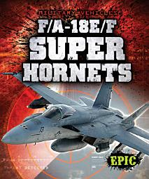 Icon image F/A-18E/F Super Hornets