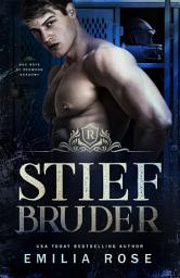 Icon image Stiefbruder: Bad Boys der Redwood Akademie, Band 1
