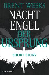 Icon image Nachtengel - Der Ursprung: Kurzgeschichte - Wie alles begann: Die Vorgeschichte zur berühmten Nightangel-Saga