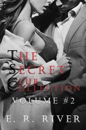 Icon image The Secret Club Collection Volume 2