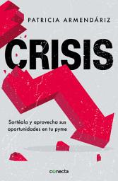 Icon image Crisis: Sortéala y aprovecha sus oportunidades en tu pyme
