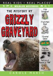 Icon image The Mystery at Grizzly Graveyard