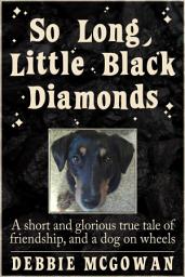 Icon image So Long, Little Black Diamonds