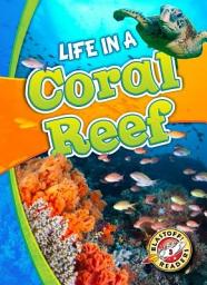 Icon image Life in a Coral Reef