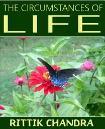 Icon image The Circumstances of Life