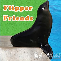 Icon image Flipper Friends