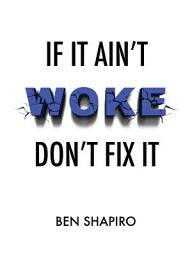 Icon image If It Ain't Woke, Don't Fix It