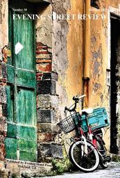 Icon image Evening Street Review Number 38