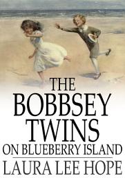 Icon image The Bobbsey Twins on Blueberry Island
