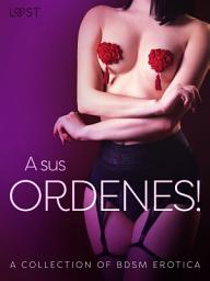 Icon image A sus ordenes! - A Collection of BDSM Erotica