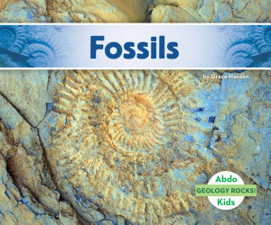 Icon image Fossils
