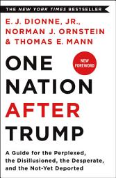 Icon image One Nation After Trump: A Guide for the Perplexed, the Disillusioned, the Desperate, and the Not-Yet Deported