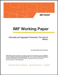 Icon image Informality and Aggregate Productivity: The Case of Mexico